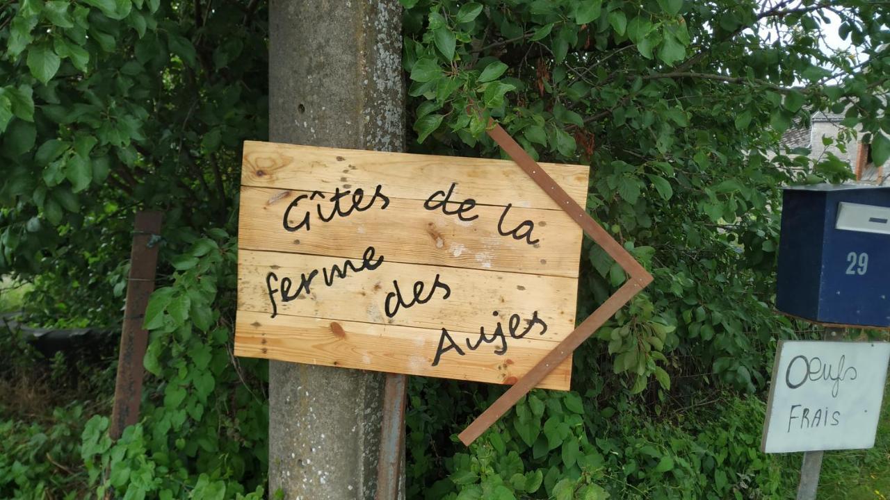 Gite Familial Ferme Des Aujes Falaen Onhaye 외부 사진