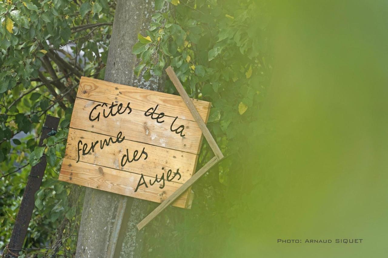 Gite Familial Ferme Des Aujes Falaen Onhaye 외부 사진